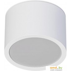 Точечный светильник Arte Lamp Intercrus A5543PL-1WH