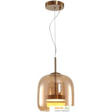 Подвесная люстра Arte Lamp Padova A2404SP-23AM