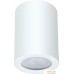 Точечный светильник Arte Lamp Tino A1468PL-1WH. Фото №1