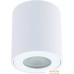 Точечный светильник Arte Lamp Tino A1469PL-1WH. Фото №1