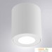 Точечный светильник Arte Lamp Tino A1469PL-1WH. Фото №2