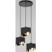 Подвесная люстра TK Lighting 4876 Grant Black. Фото №1