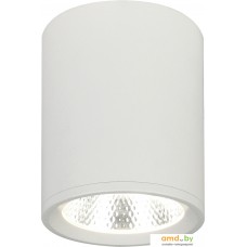 Точечный светильник Escada 20003SMU/02 LED 12W 4200K (белый матовый)