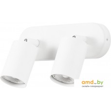 Спот Arte Lamp Aquarius A3226PL-2WH