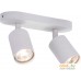 Спот Arte Lamp Aquarius A3226PL-2WH. Фото №2