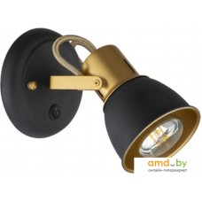 Спот Arte Lamp Jovi A1677AP-1GO