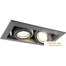 Точечный светильник Arte Lamp Cardani A5941PL-2GY