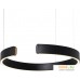 Подвесная люстра LOFT IT Ring 10025/400 Black. Фото №3