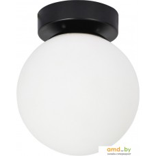 Светильник Arte Lamp Alcor A2224PL-1BK