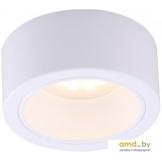 Точечный светильник Arte Lamp Effetto A5553PL-1WH