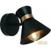 Точечный светильник Arte Lamp Baltimore A1406AP-1BK. Фото №1