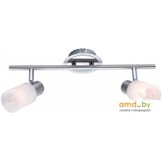 Точечный светильник Arte Lamp Cavaletta A4510PL-2SS