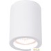 Точечный светильник Arte Lamp Tubo A9260PL-1WH. Фото №1