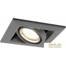 Точечный светильник Arte Lamp Cardani A5941PL-1GY