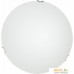 Светильник-тарелка Arte Lamp Plain A3720PL-1CC. Фото №1