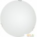 Люстра-тарелка Arte Lamp Plain A3720PL-2CC. Фото №1