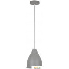 Лампа Arte Lamp Braccio A2054SP-1GY