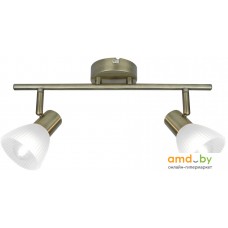 Точечный светильник Arte Lamp Parry A5062AP-2AB