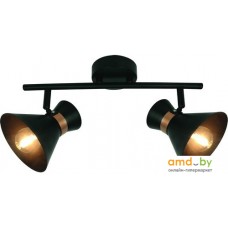 Точечный светильник Arte Lamp Baltimore A1406AP-2BK