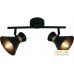 Точечный светильник Arte Lamp Baltimore A1406AP-2BK. Фото №1