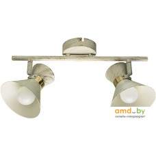 Точечный светильник Arte Lamp Baltimore A1406AP-2WG