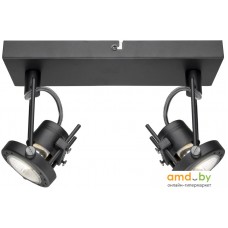 Точечный светильник Arte Lamp Costruttore A4300AP-2BK