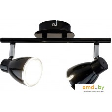 Точечный светильник Arte Lamp Gioved A6008PL-2BK