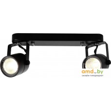 Люстра Arte Lamp Lente A1310PL-2BK