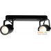 Люстра Arte Lamp Lente A1310PL-2BK. Фото №1