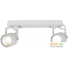 Припотолочная люстра Arte Lamp Lente A1310PL-2WH