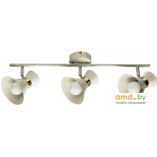 Точечный светильник Arte Lamp Baltimore A1406PL-3WG