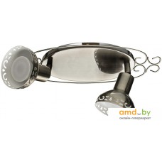 Точечный светильник Arte Lamp Focus A5219AP-2AB