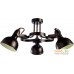 Припотолочная люстра Arte Lamp Martin A5216PL-3BR. Фото №1