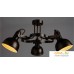 Припотолочная люстра Arte Lamp Martin A5216PL-3BR. Фото №2