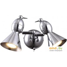 Точечный светильник Arte Lamp Picchio A9229AP-2CC