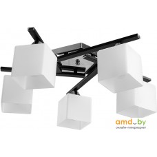 Припотолочная люстра Arte Lamp Visuale A8165PL-5BK