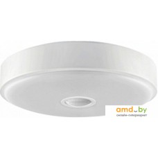 Точечный светильник Yeelight Ceiling Light YLXD09YL