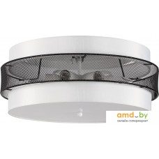 Lumion Animaisa 8002/6C