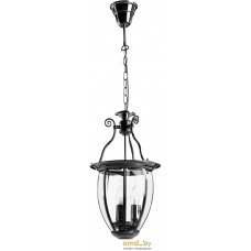 Подвесная люстра Arte Lamp Rimini A6509SP-3CC