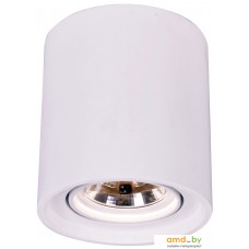 Точечный светильник Arte Lamp Tubo A9262PL-1WH