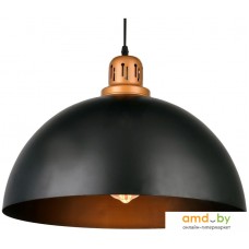 Лампа Arte Lamp Eurica A4249SP-1BK