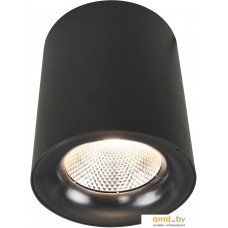 Точечный светильник Arte Lamp Facile A5118PL-1BK