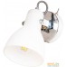 Спот Arte Lamp Fado A1142AP-1CC. Фото №1