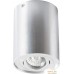 Точечный светильник Arte Lamp Falcon Grande A5644PL-1SI. Фото №1