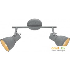 Спот Arte Lamp Jovi Grigio A1677PL-2GY