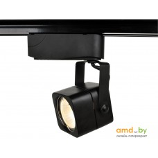 Точечный светильник Arte Lamp Lente Track A1314PL-1BK