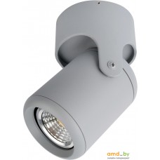 Спот Arte Lamp Libra A3316PL-1GY