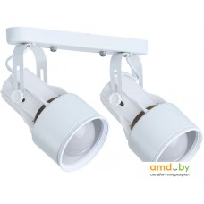 Спот Arte Lamp Lyra Bianco A6252PL-2WH