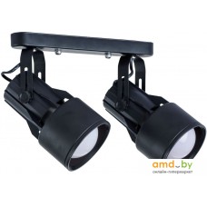 Спот Arte Lamp Lyra Nero A6252PL-2BK