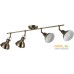 Спот Arte Lamp Mark A1102PL-4AB. Фото №1